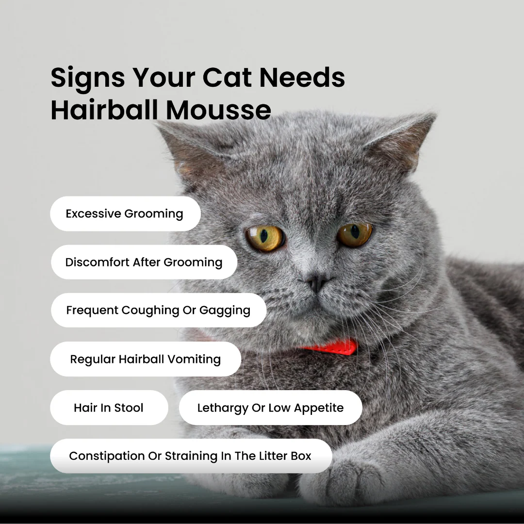 Absolut Pet Hair Ball Relief Creamy Supplement for Cat - Image 3