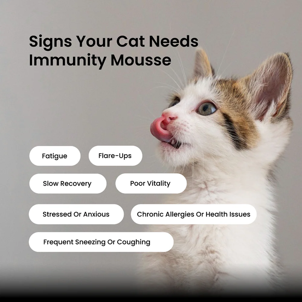 Absolut Pet Immunity Mousse Cat Supplement - Image 4