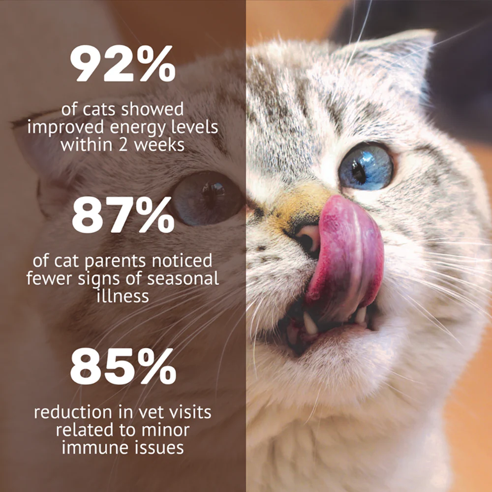 Absolut Pet Immunity Mousse Cat Supplement - Image 5