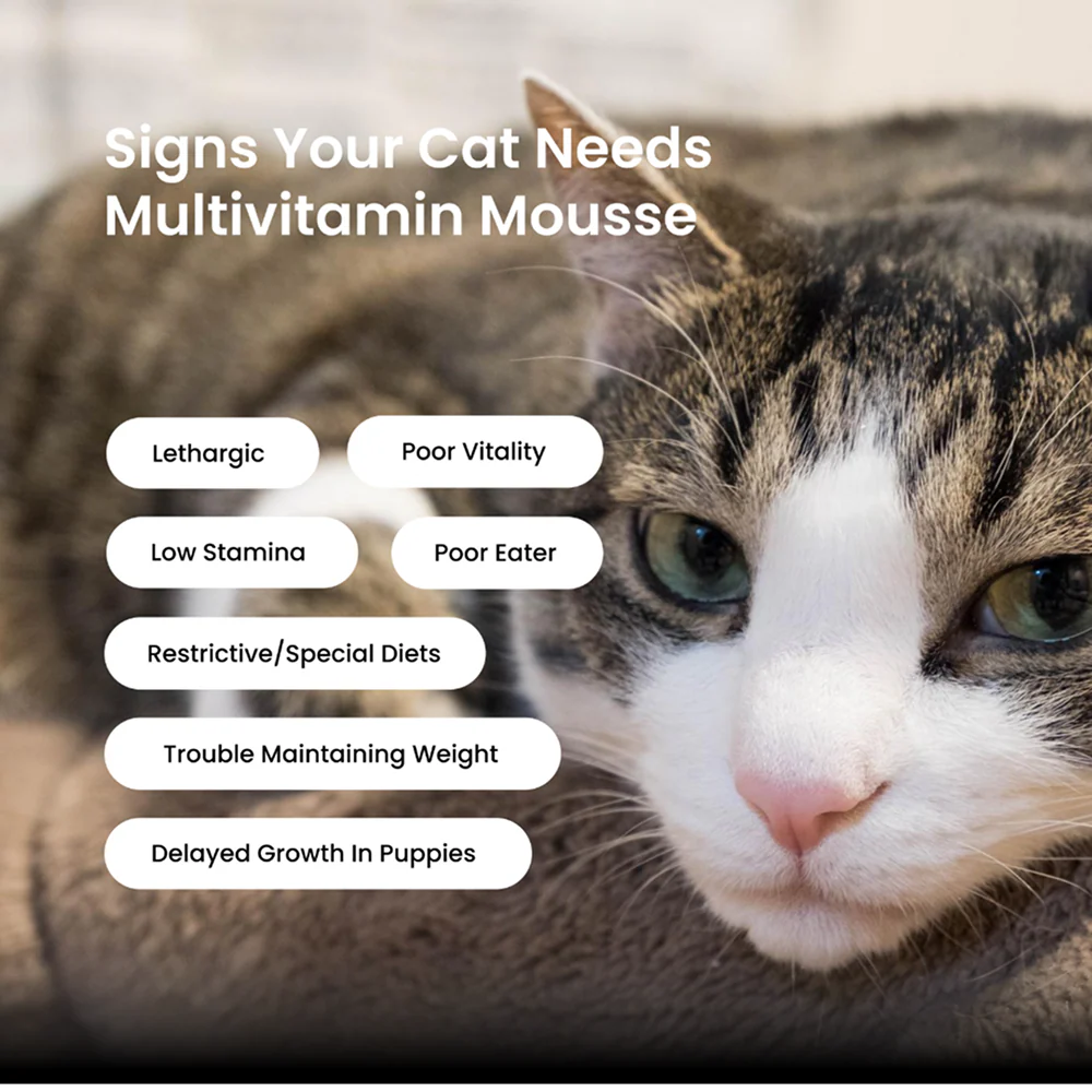 Absolut Pet Multivitamin Mousse Cat Supplement - Image 4