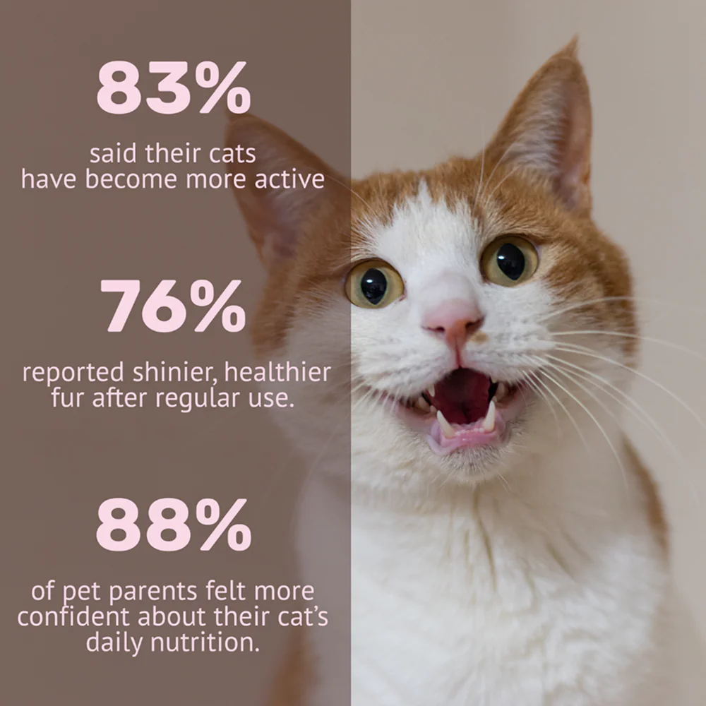 Absolut Pet Multivitamin Mousse Cat Supplement - Image 5