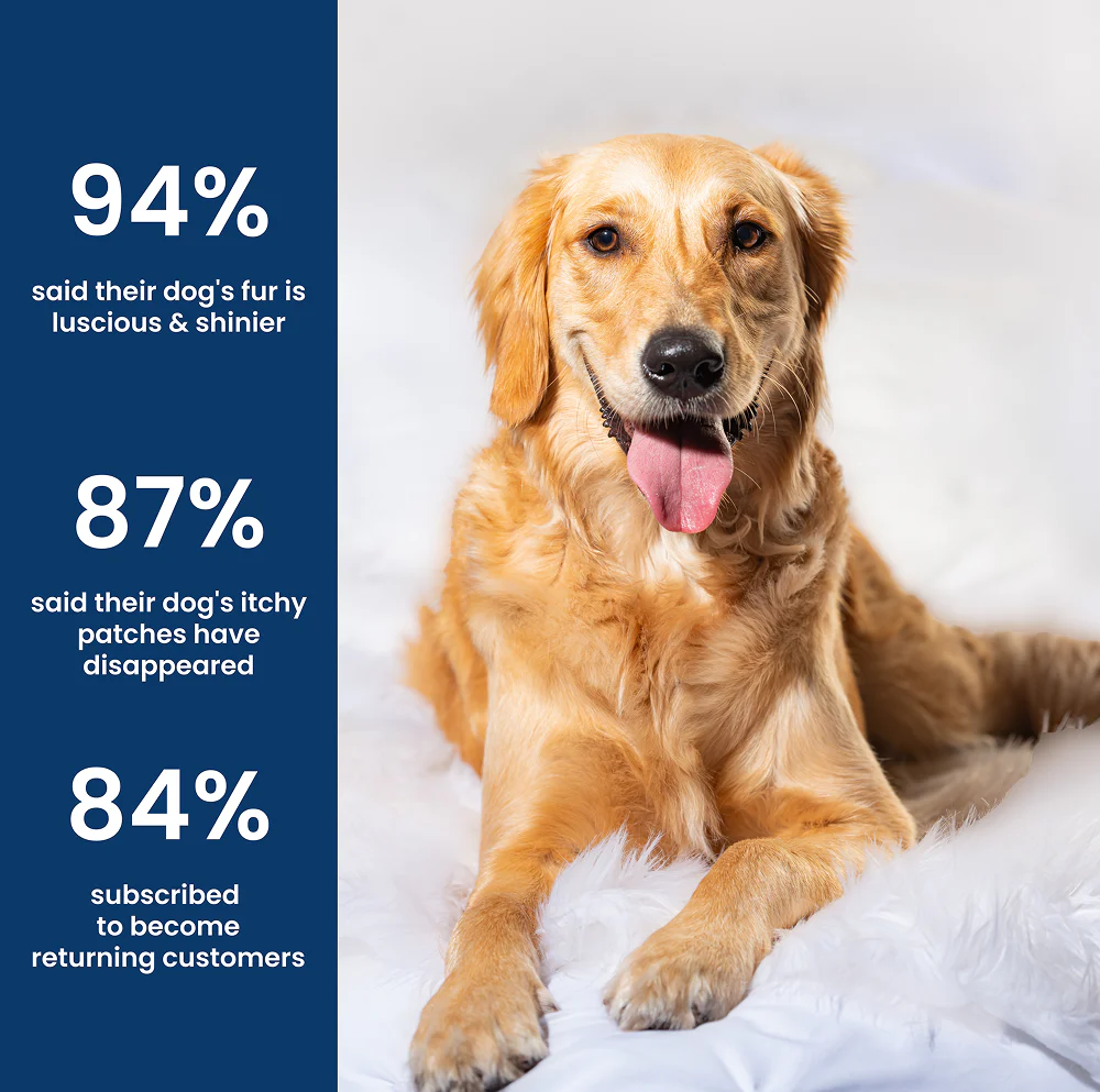 Absolut Pet Probiotics Gut Skin Coat Support Collagen and Biotin Health Dog Supplement - Image 13