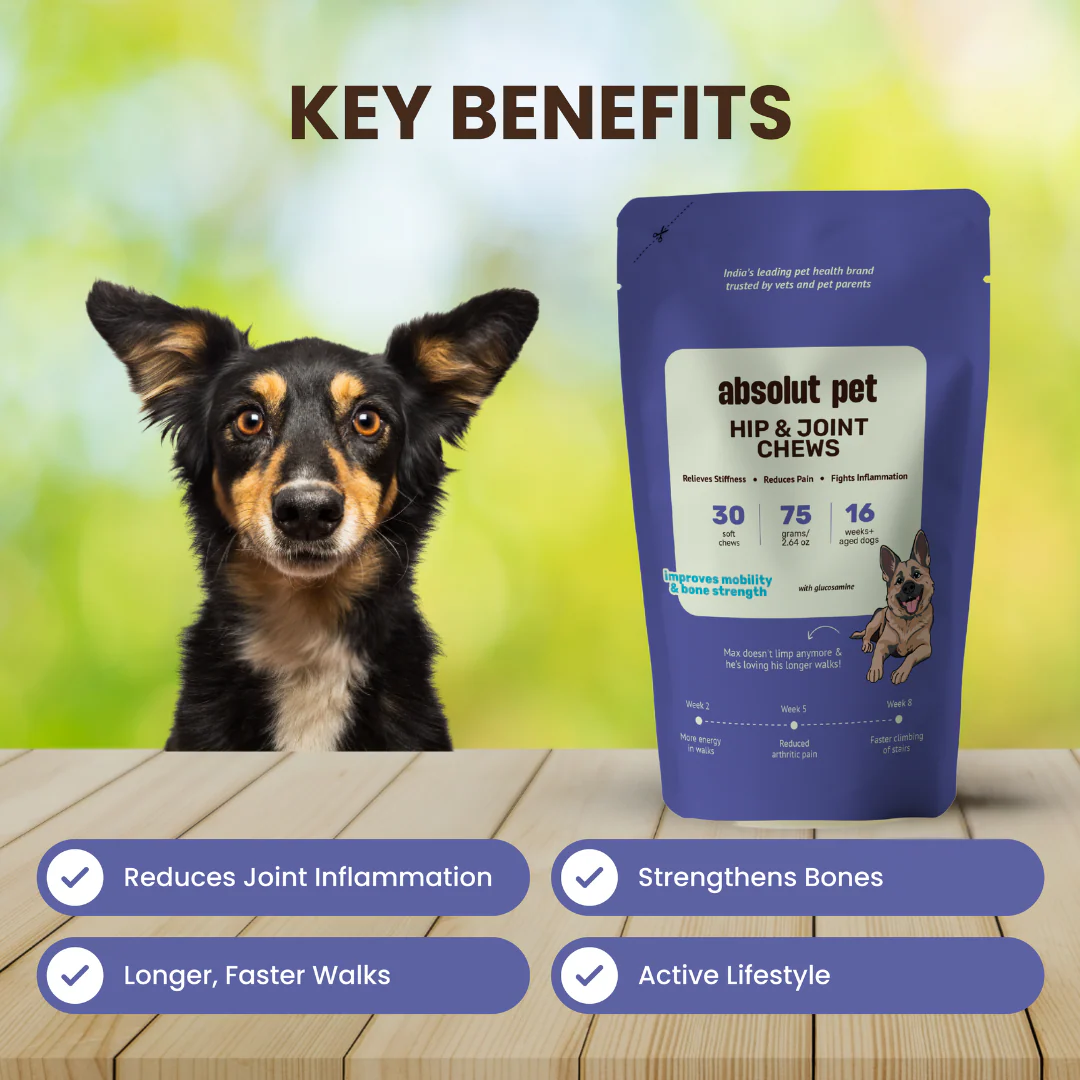 Absolut Pet Probiotics Gut &  Hip and Joint Care Health Dog Supplement Combo - Image 10