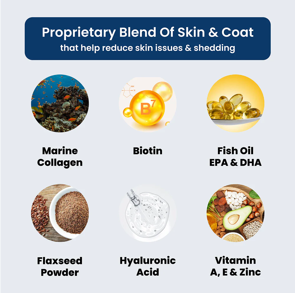 Absolut Pet Probiotics Gut & Hip, Joint Care & Skin & Coat with Collagen Health Dog Supplement Combo - Image 18