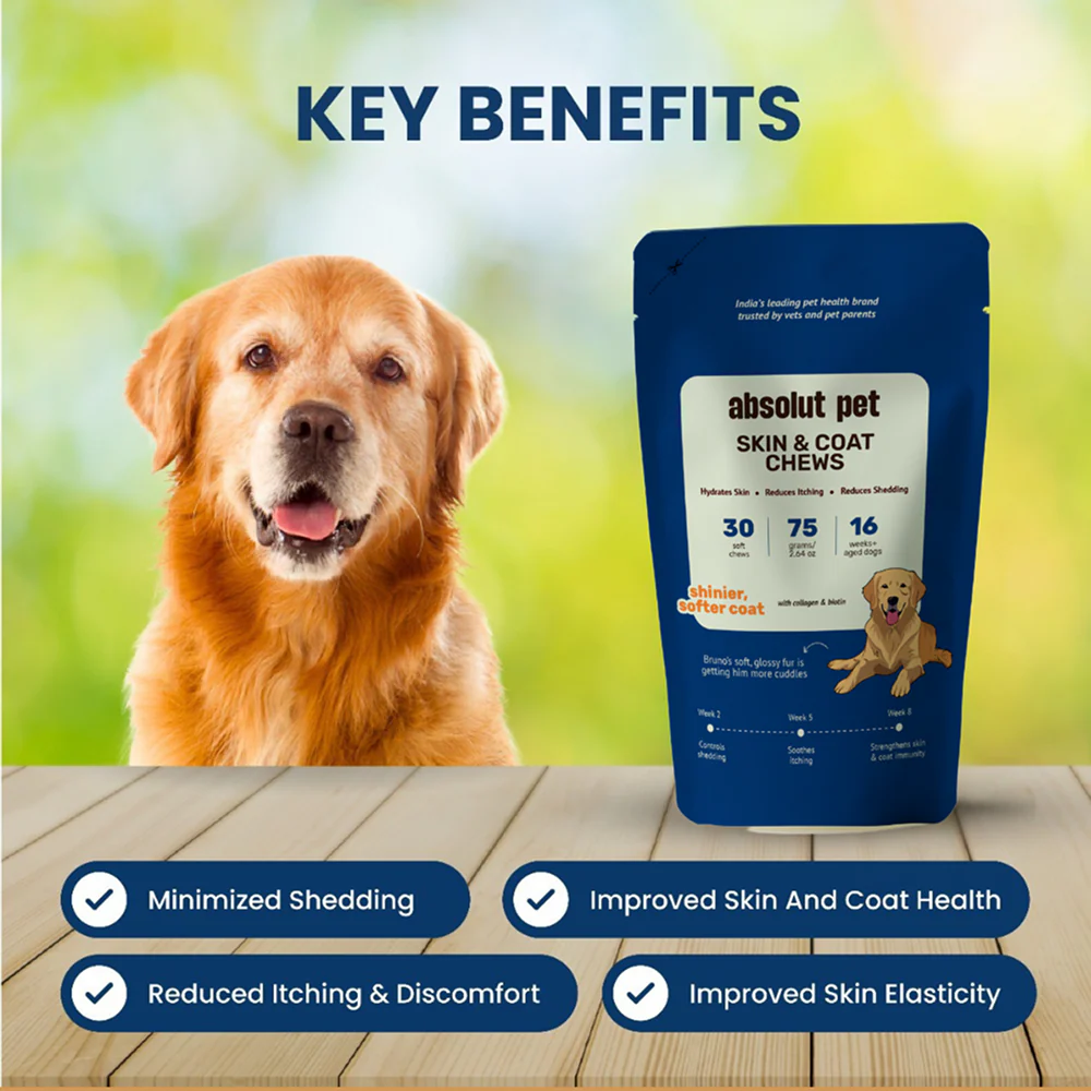 Absolut Pet Probiotics Gut & Hip, Joint Care & Skin & Coat with Collagen Health Dog Supplement Combo - Image 20