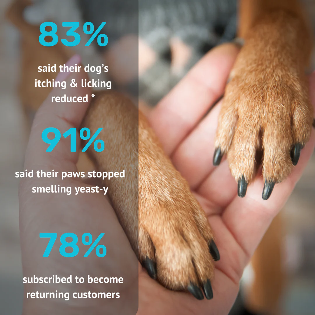 Absolut Pet Probiotics Gut &  Hip and Joint Care Health Dog Supplement Combo - Image 7