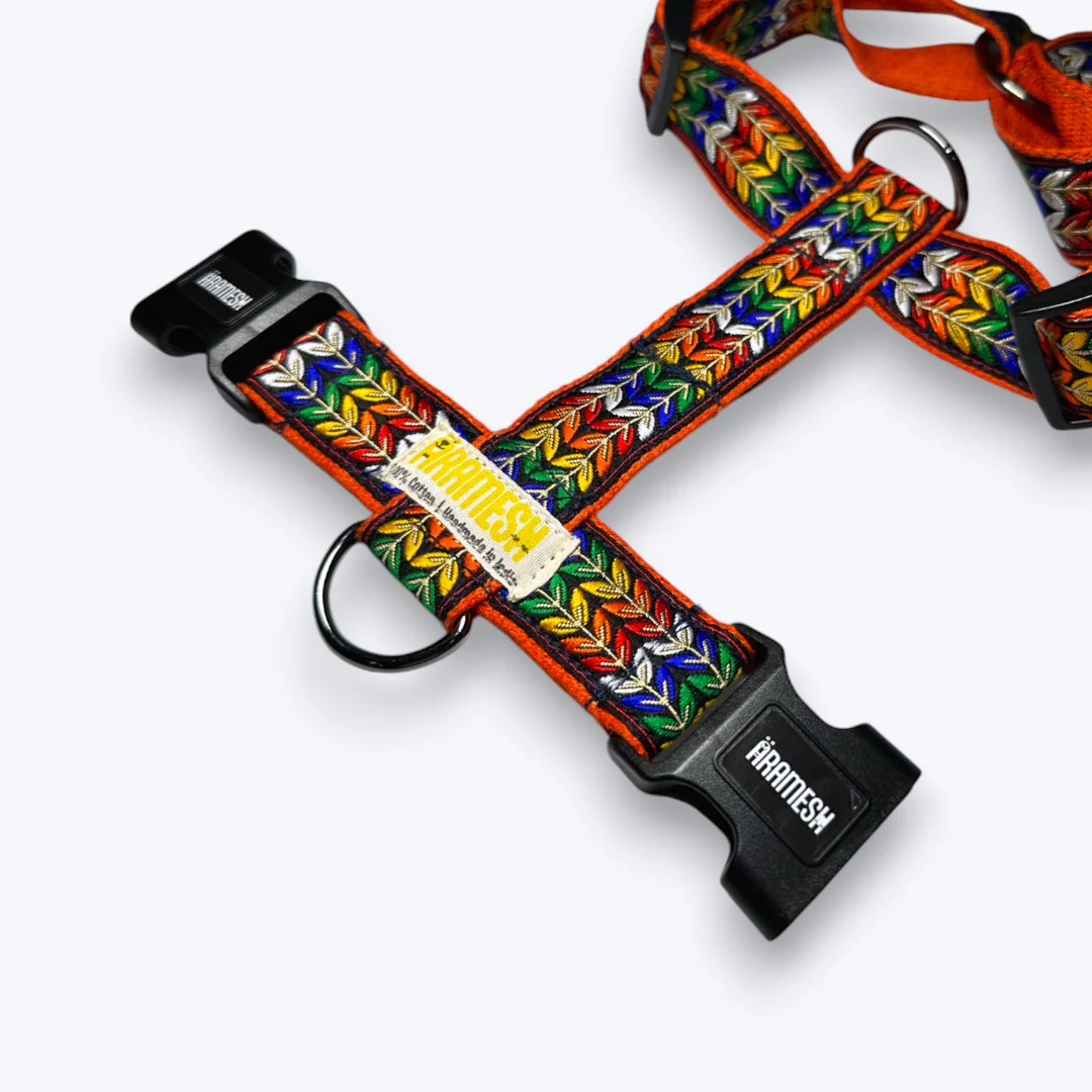 Aramesh Colourful Trails Harness for Dogs (Orange) - Image 3