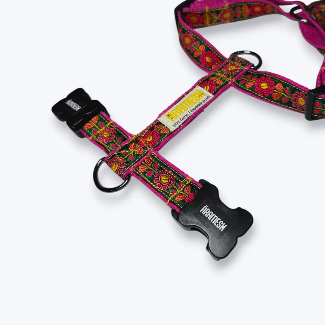 Aramesh Emerald Trails Harness for Dogs (Pink & Green) - Image 3