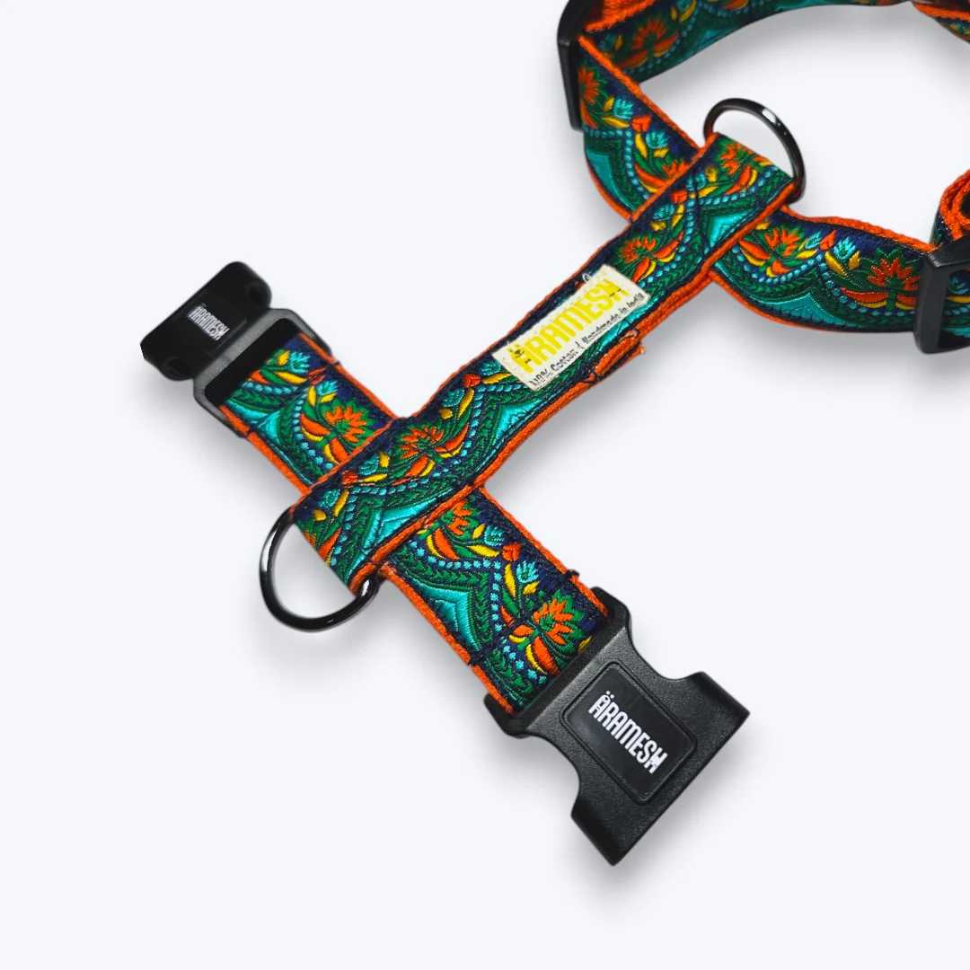 Aramesh Fire and Ice Harness for Dogs (Orange & Green) - Image 3