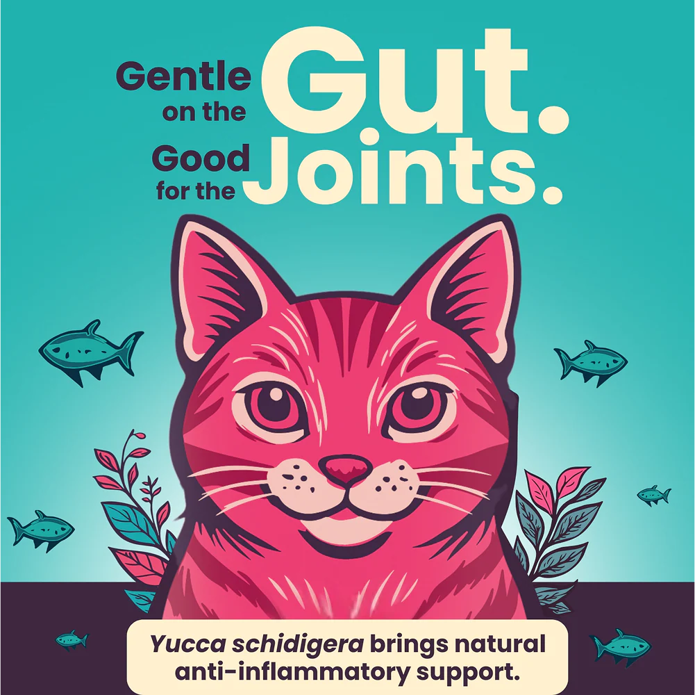 Bark Out Loud Thrive Tuna Flavour Adult Cat Dry Food - Image 4