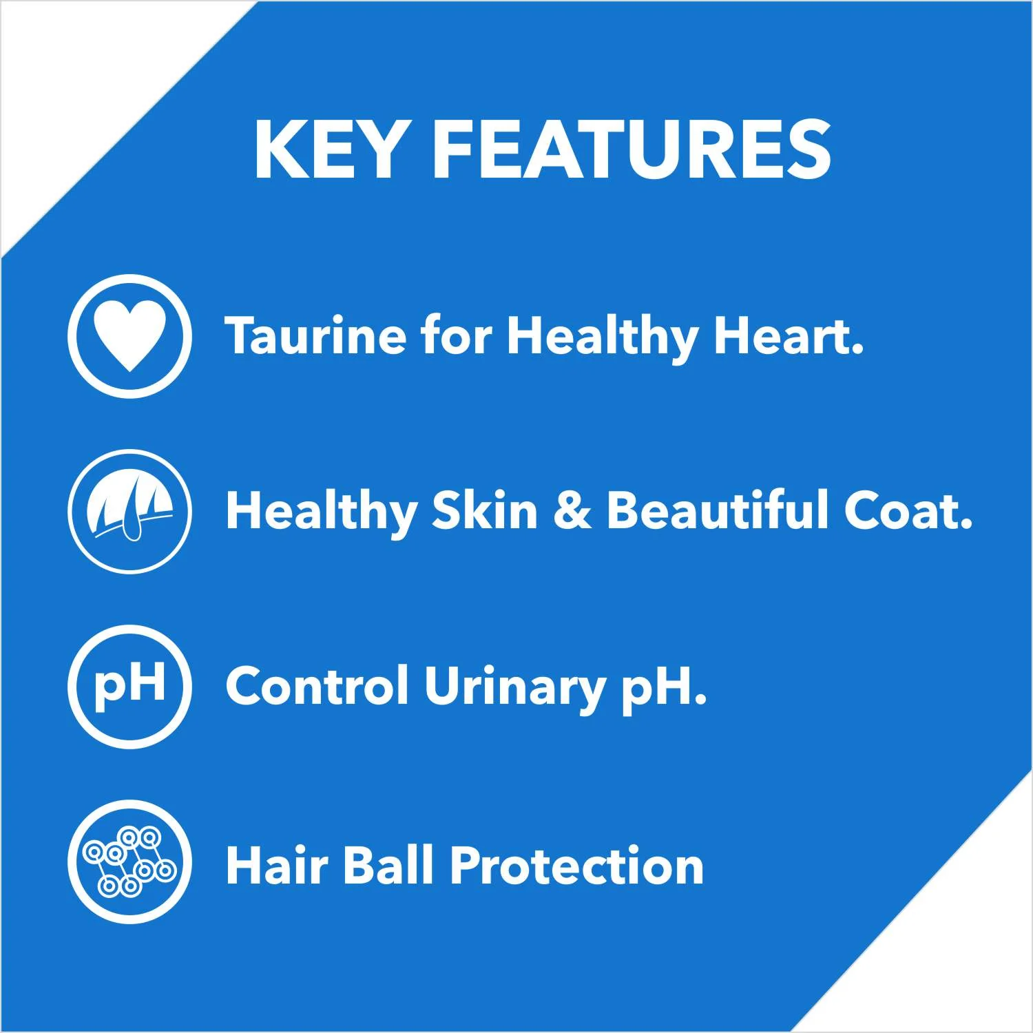 Drools Ocean Fish Adult Cat Dry Food - Image 4