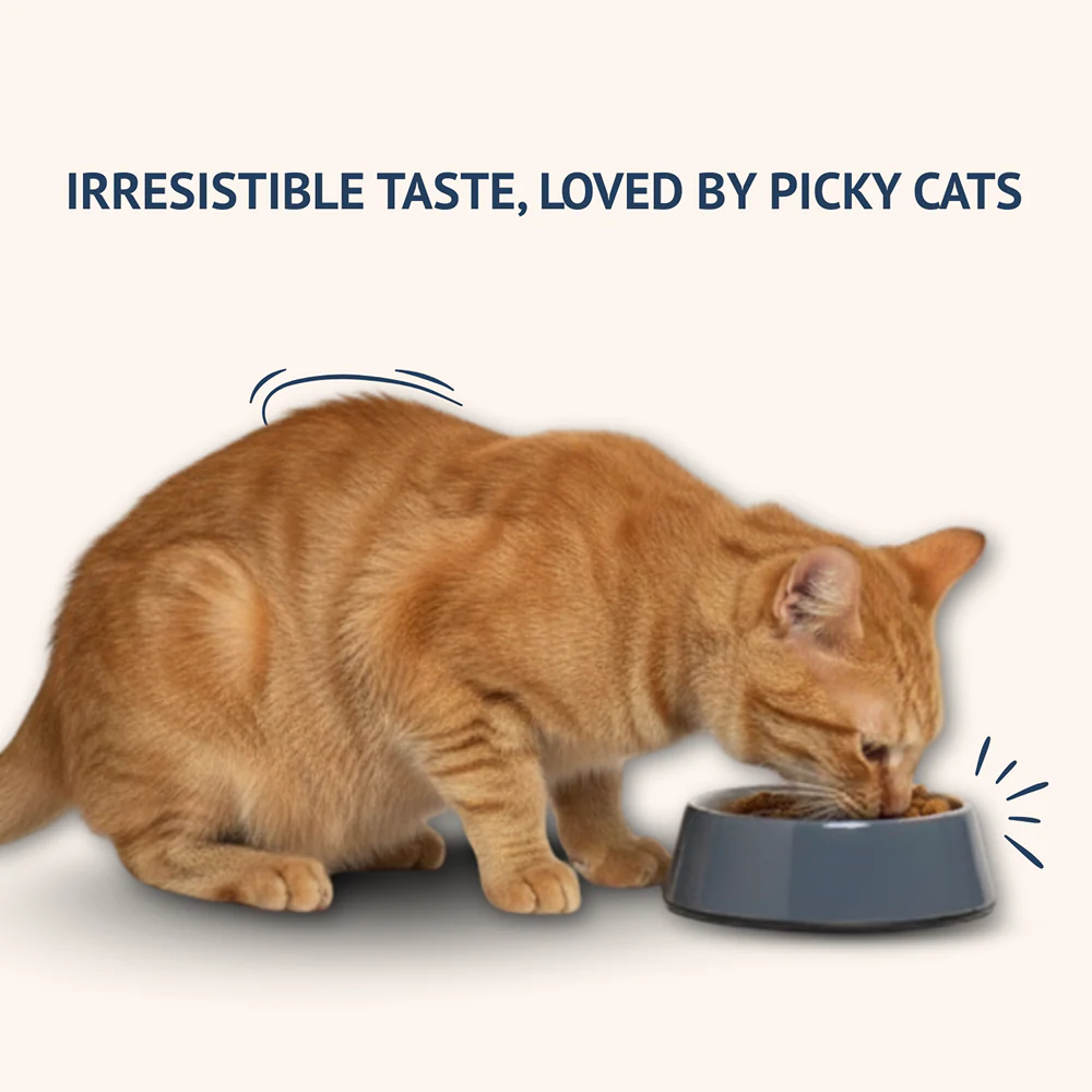 Goofy Tails Mackerel & Chicken Cat Meals - Image 12