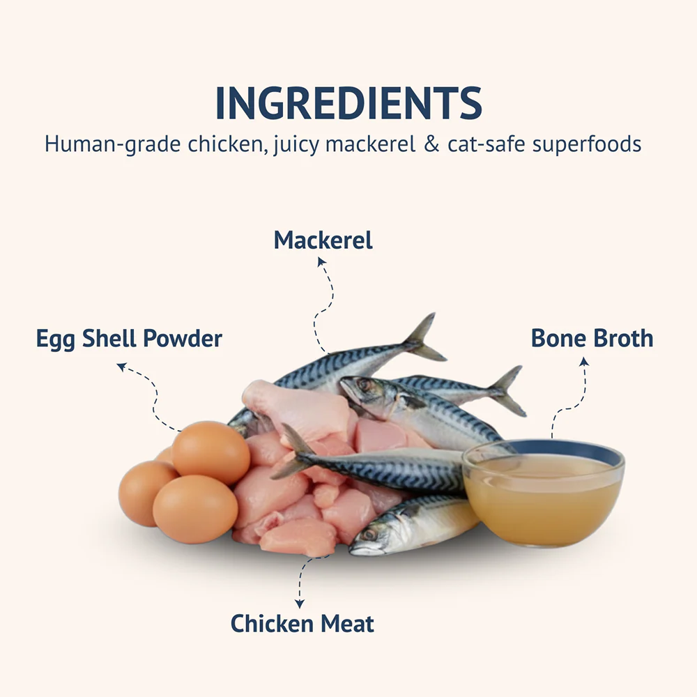 Goofy Tails Mackerel & Chicken Cat Meals - Image 3