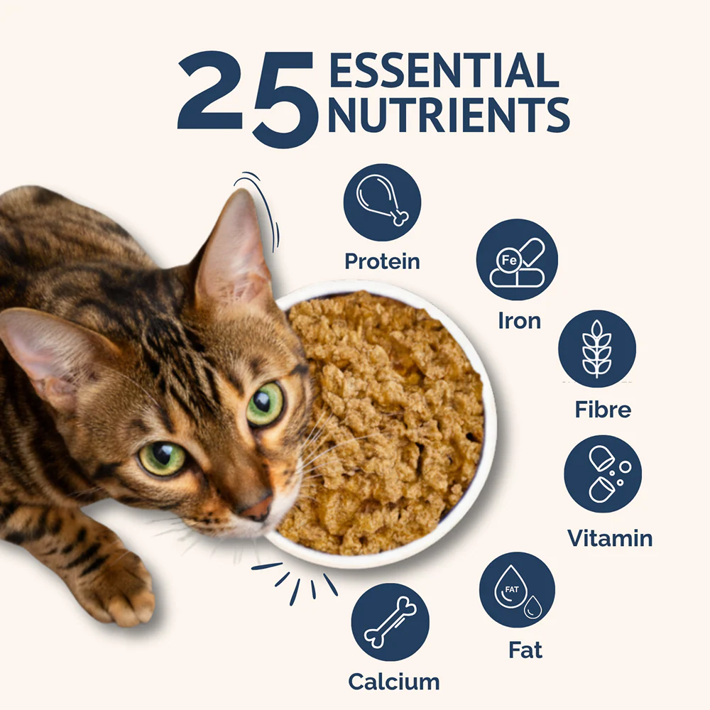 Goofy Tails Mackerel & Chicken Cat Meals - Image 5