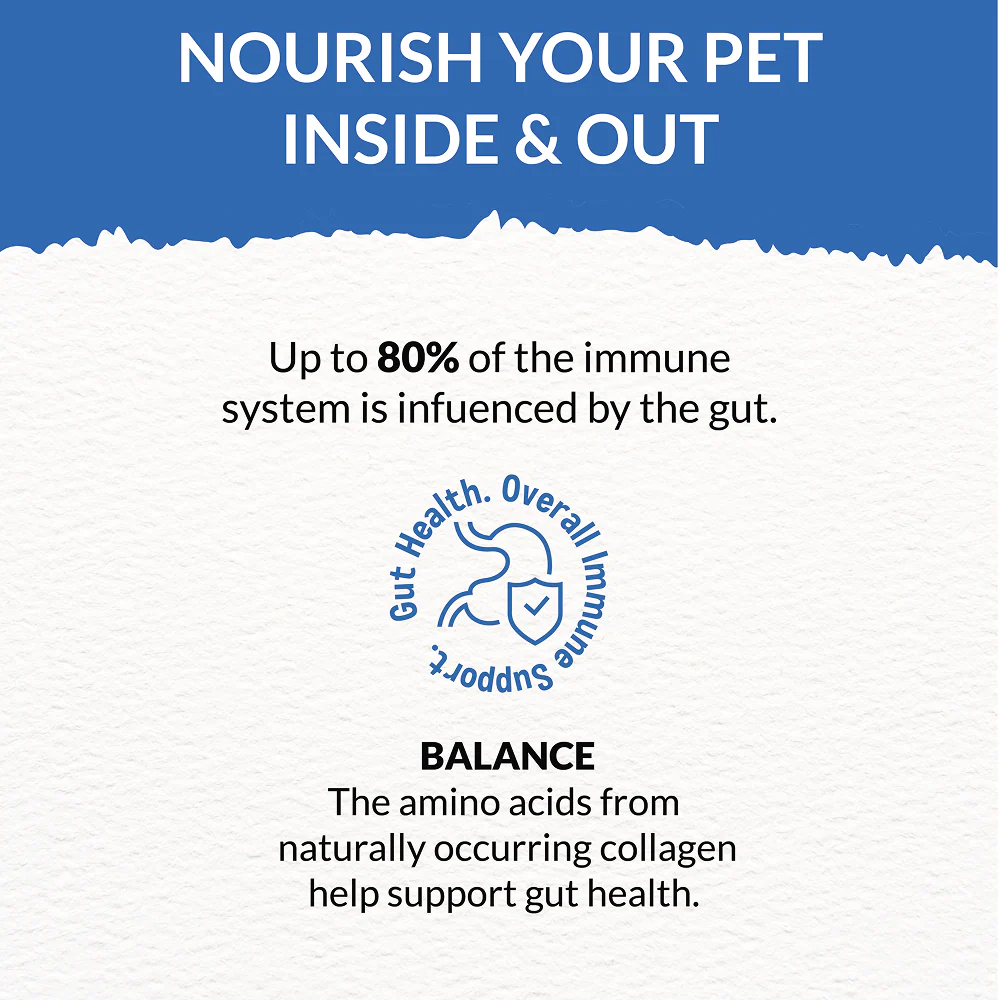 Goofy Tails Seafood Bone Broth for Cats - Image 7