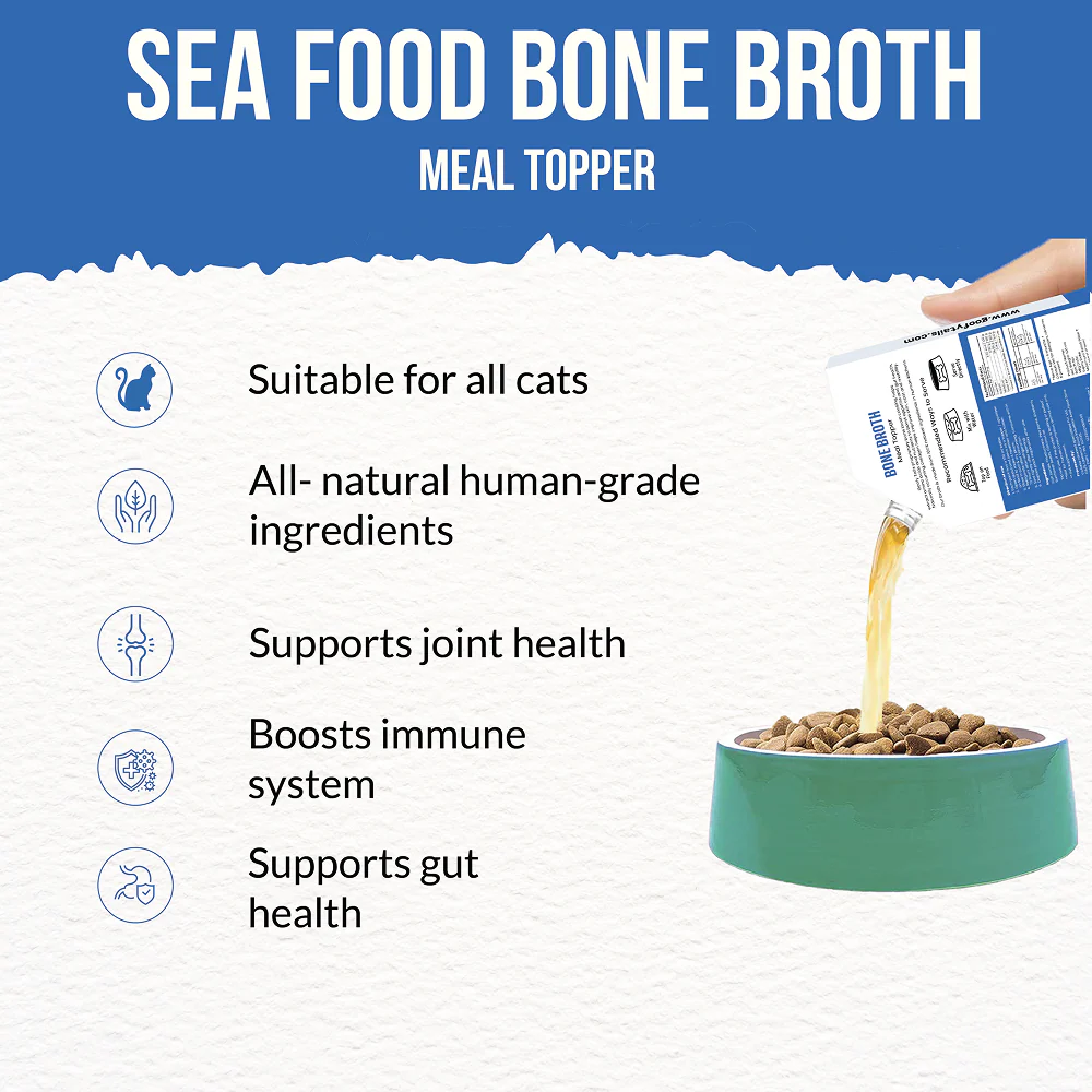 Goofy Tails Seafood Bone Broth for Cats - Image 8
