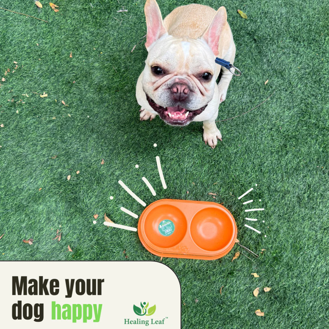 Healing Leaf Eco friendly Bamboo Bowl for Dogs and Cats (Sky Blue) - Image 3