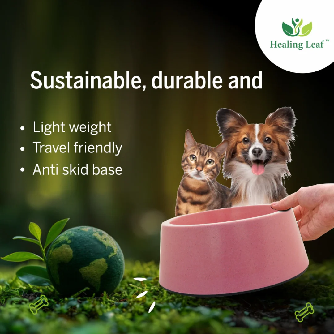 Healing Leaf Eco Friendly Cartoon Bamboo Bowl for Dogs and Cats (Purple) - Image 6