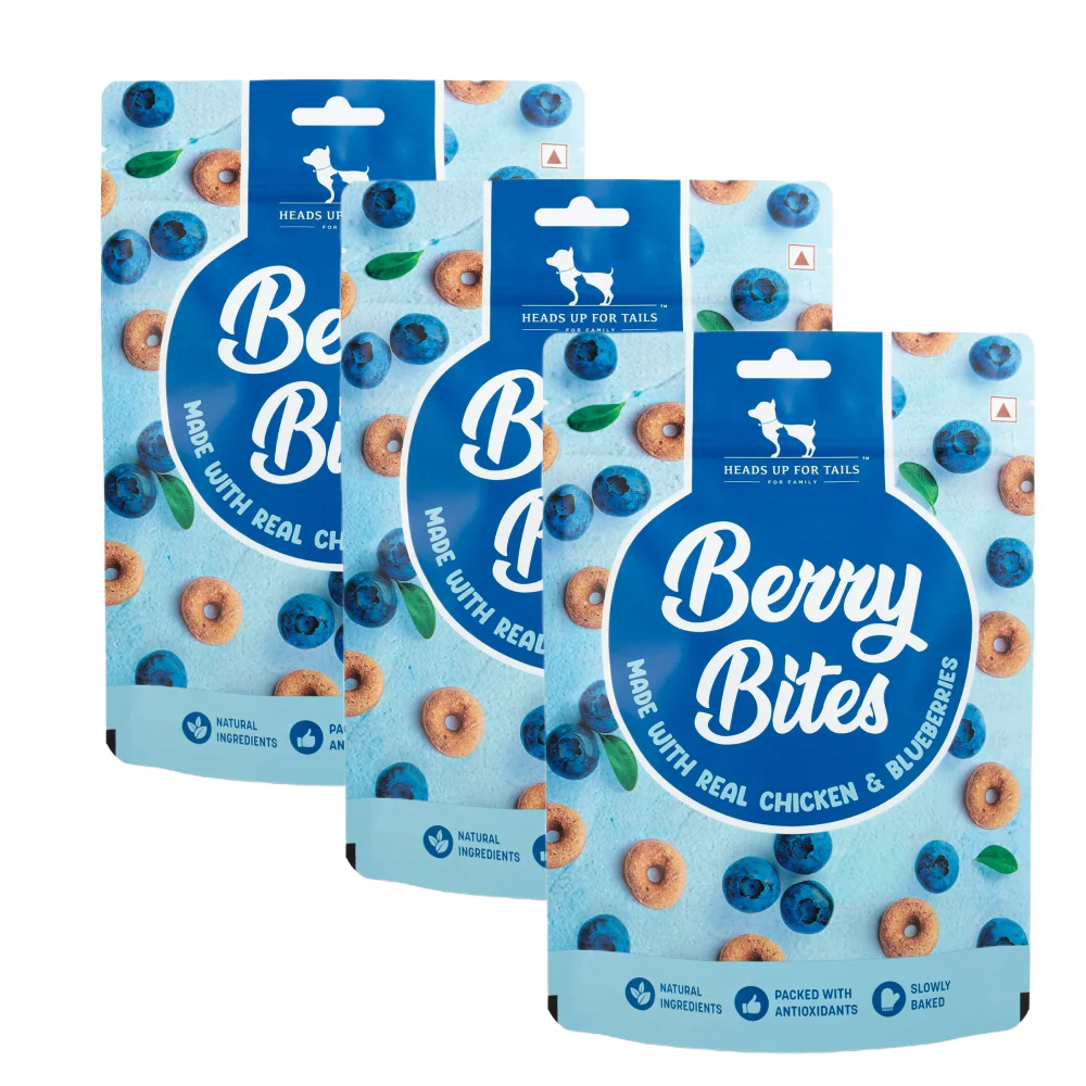 HUFT Berry Bites Real Chicken & Blueberries Dog Treats - Image 10