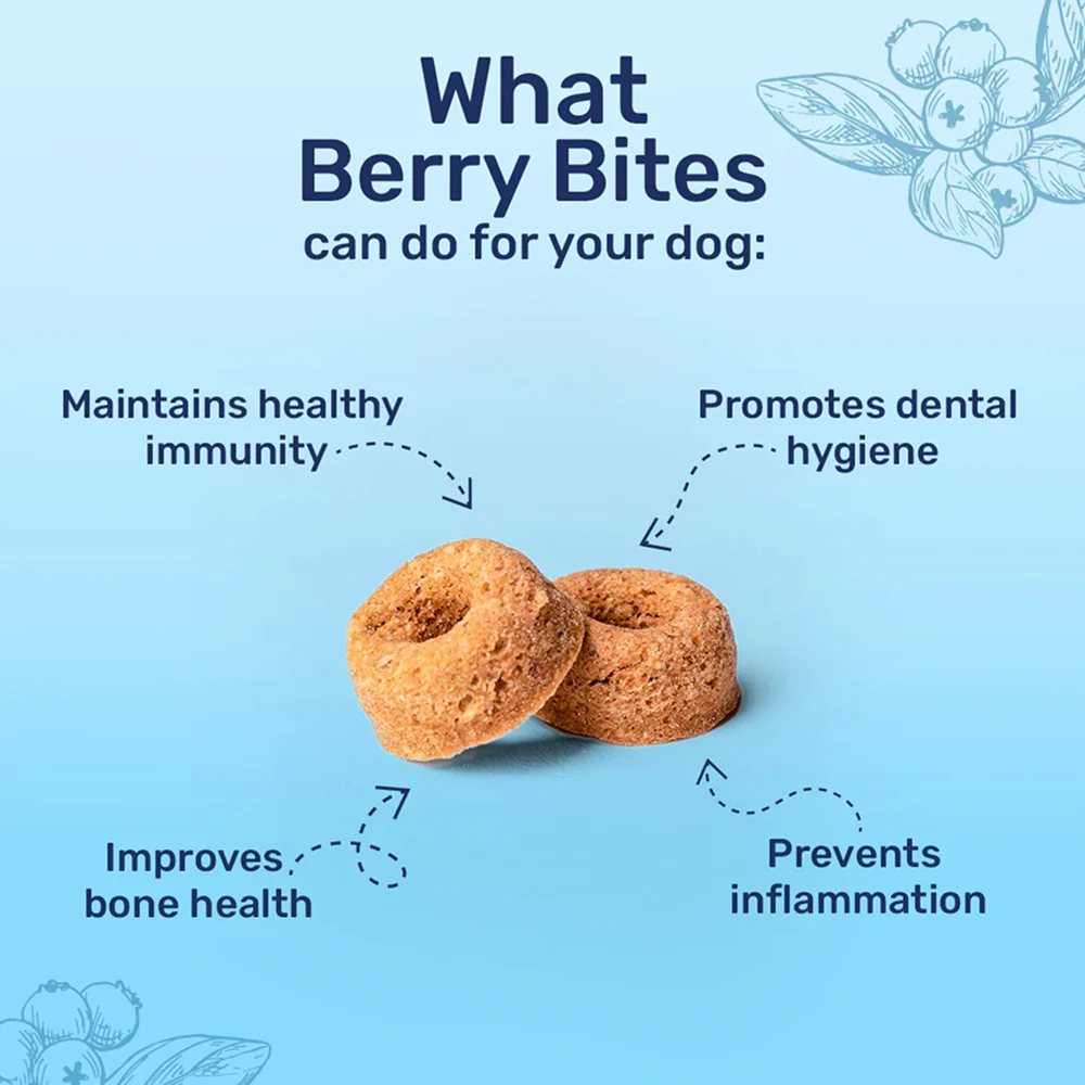HUFT Berry Bites Real Chicken & Blueberries Dog Treats - Image 3
