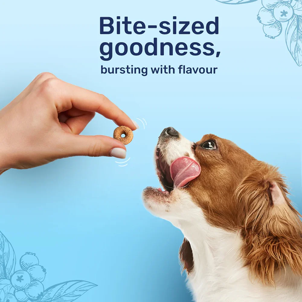 HUFT Berry Bites Real Chicken & Blueberries Dog Treats - Image 4