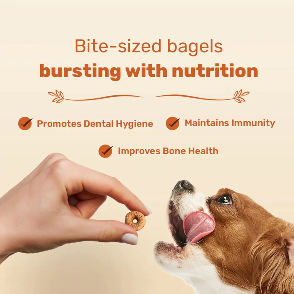 HUFT Bagel Bites Gluten Free Real Chicken & Cheese Dog Treats - Image 4