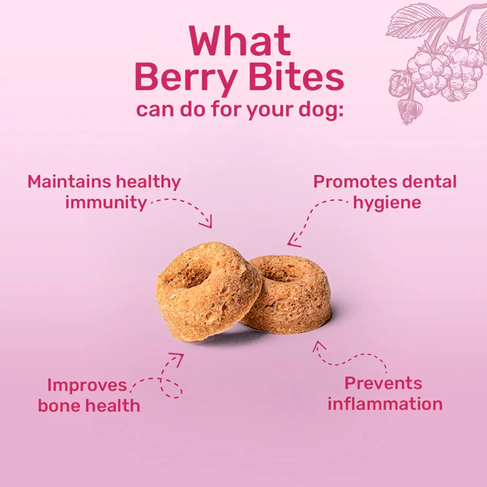 HUFT Berry Bites Gluten Free Real Chicken & Raspberries Dog Treats - Image 3