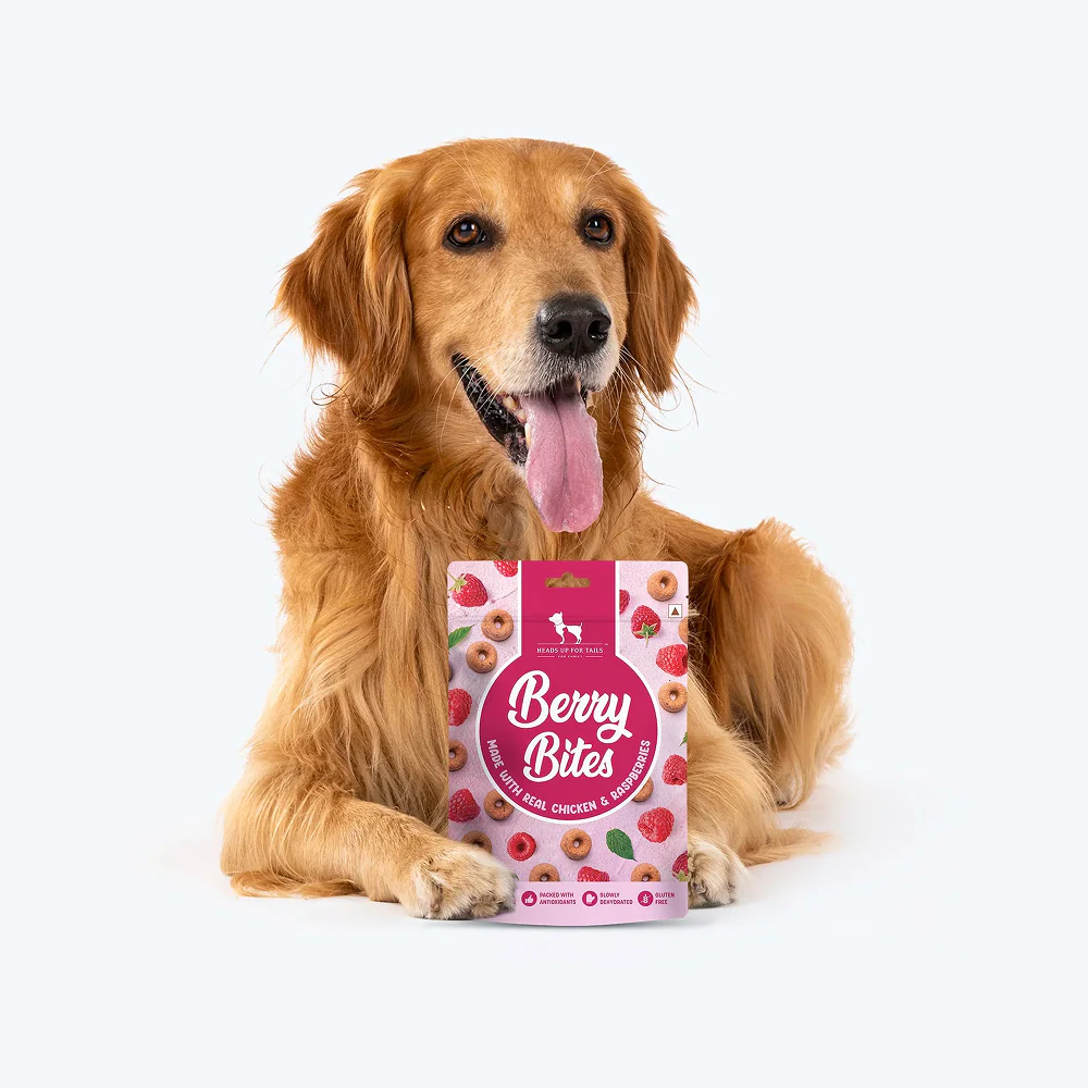 HUFT Berry Bites Gluten Free Real Chicken & Raspberries Dog Treats - Image 6