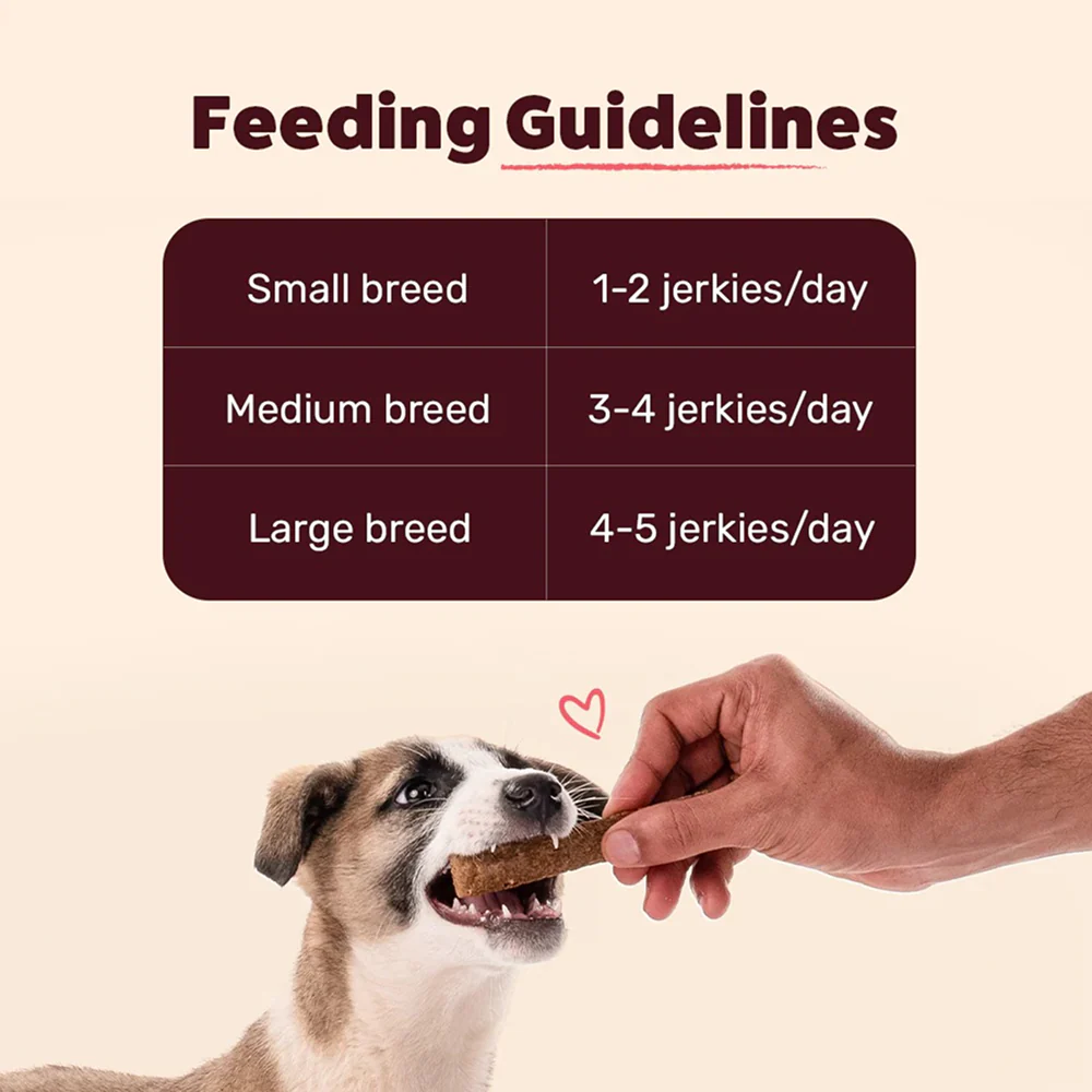 HUFT Chewbarks Gluten Free Roasted Lamb Soft Chew Strips Dog Treats - Image 5