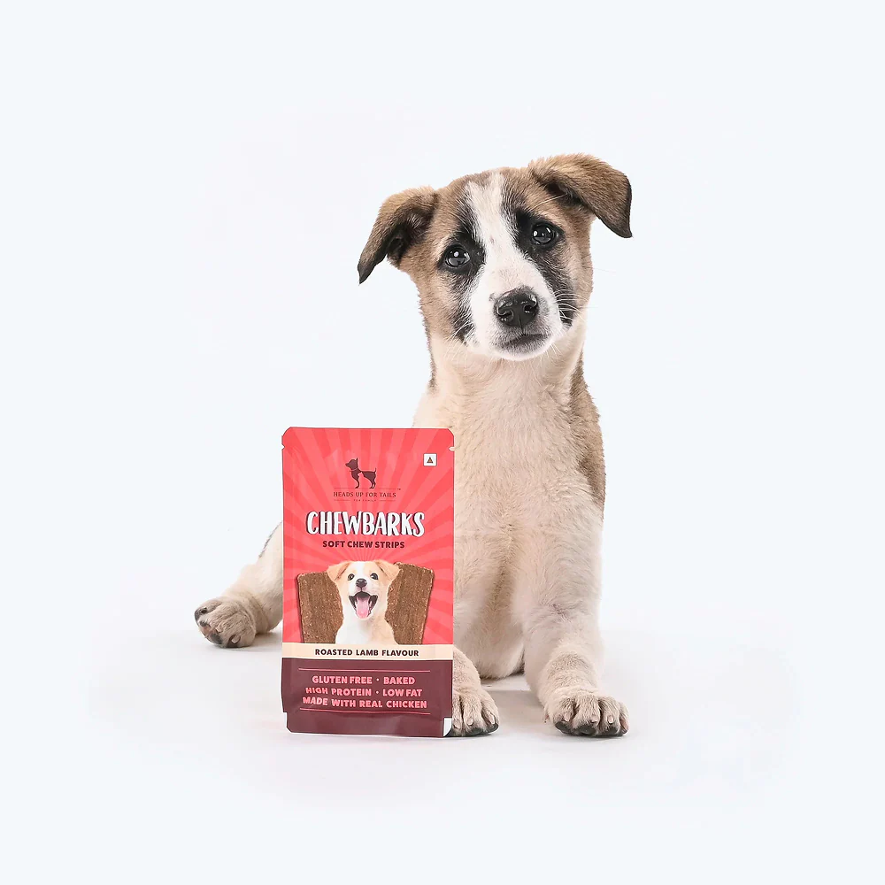 HUFT Chewbarks Gluten Free Roasted Lamb Soft Chew Strips Dog Treats - Image 7