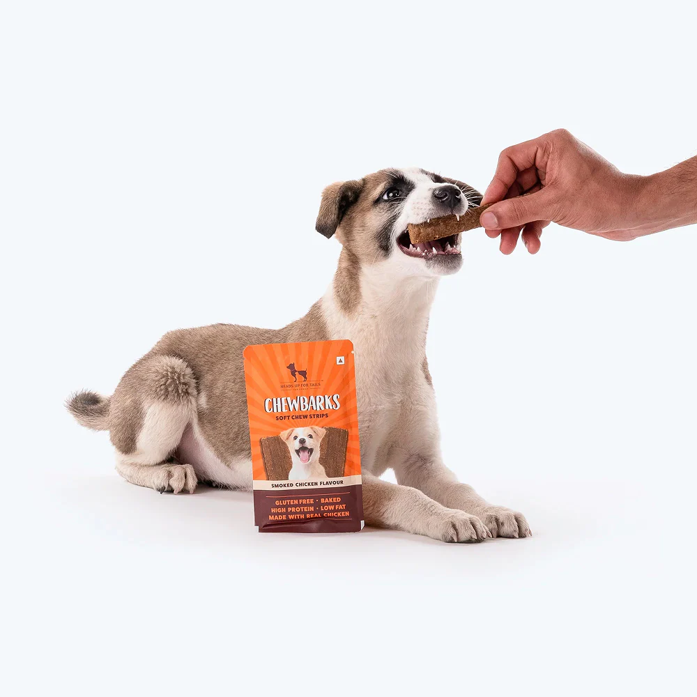 HUFT Chewbarks Gluten Free Smoked Chicken Soft Chew Strips Dog Treats - Image 7