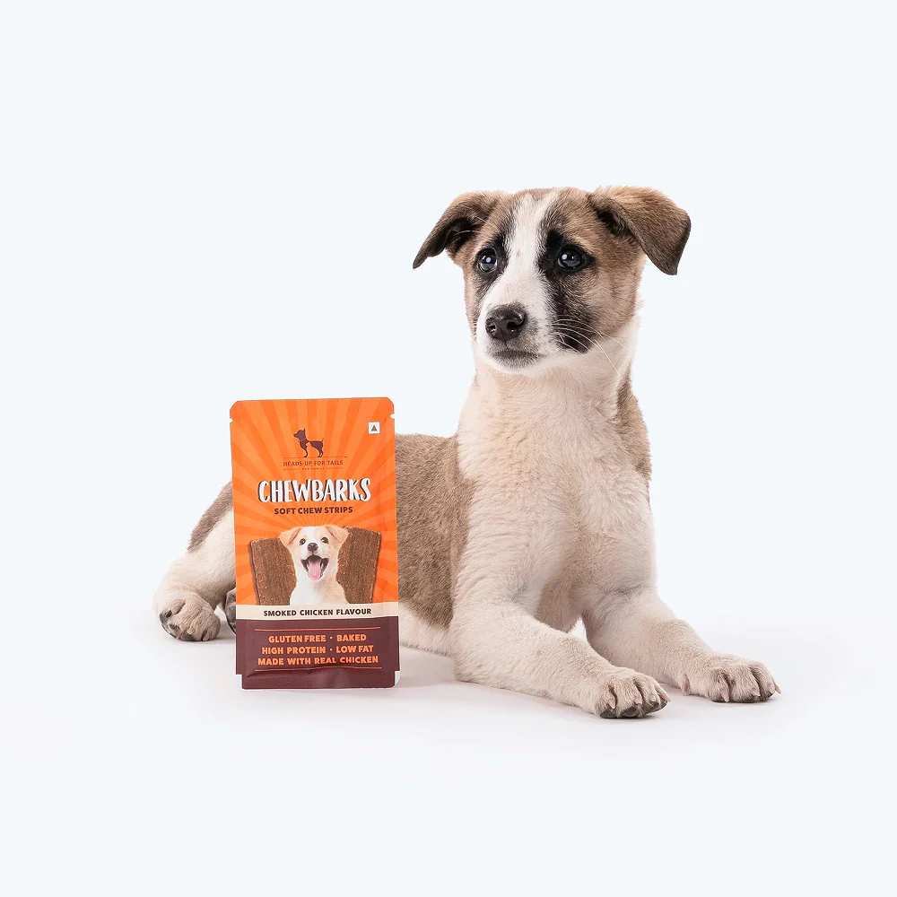 HUFT Chewbarks Gluten Free Smoked Chicken Soft Chew Strips Dog Treats - Image 8