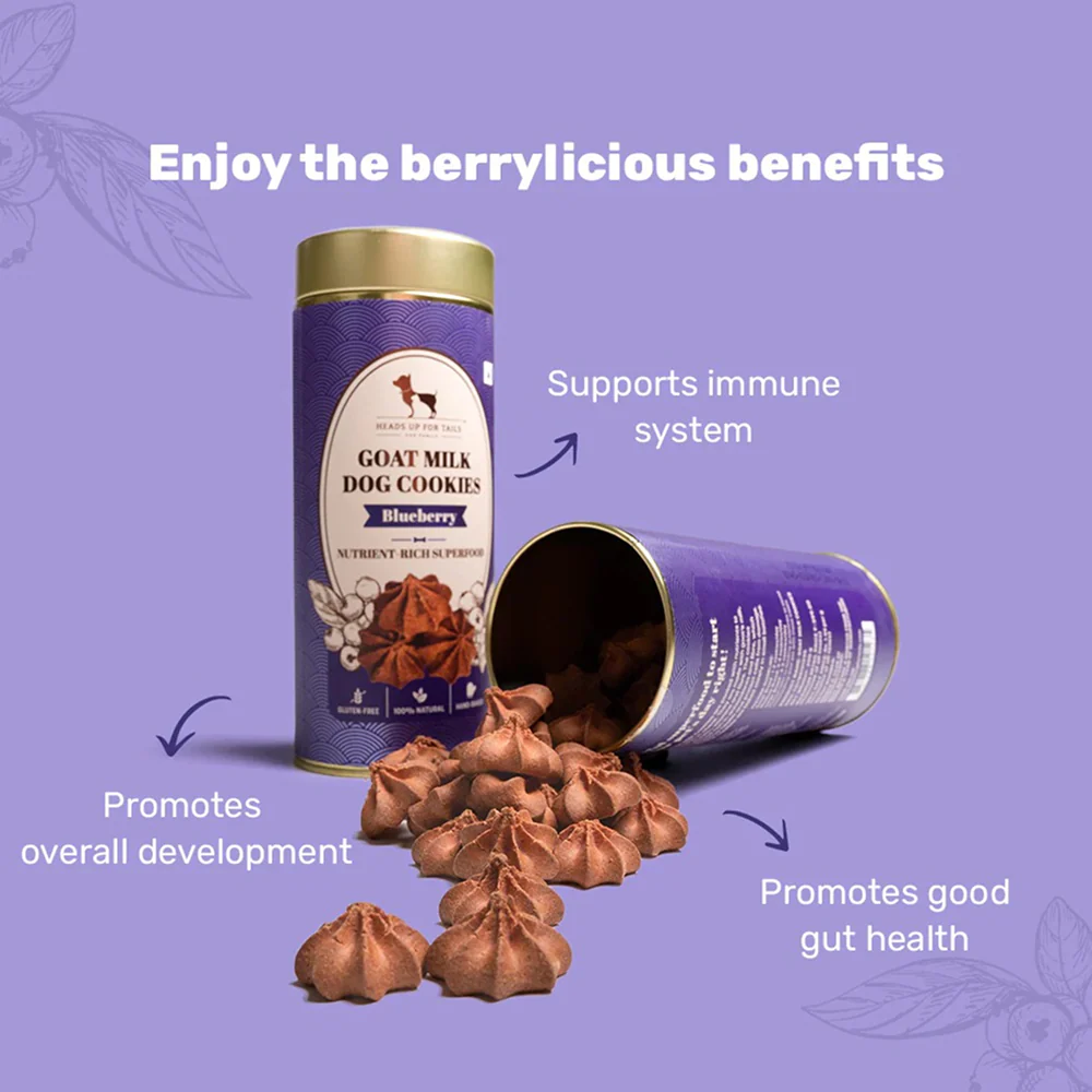 HUFT Gluten Free Goat Milk & Blueberry Cookie Dog Treats - Image 3