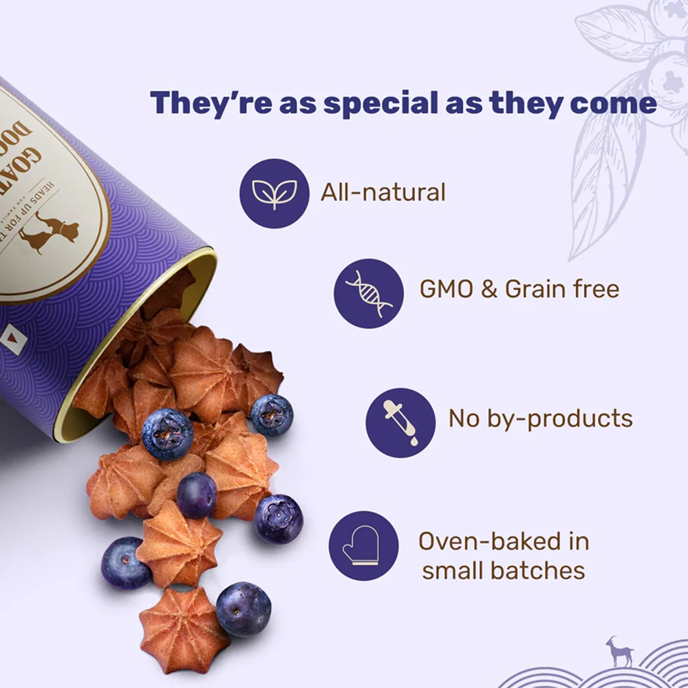 HUFT Gluten Free Goat Milk & Blueberry Cookie Dog Treats - Image 4