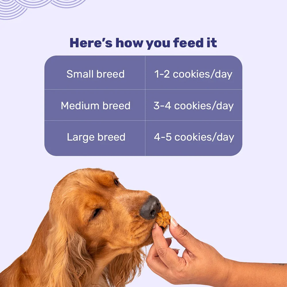 HUFT Gluten Free Goat Milk & Blueberry Cookie Dog Treats - Image 5