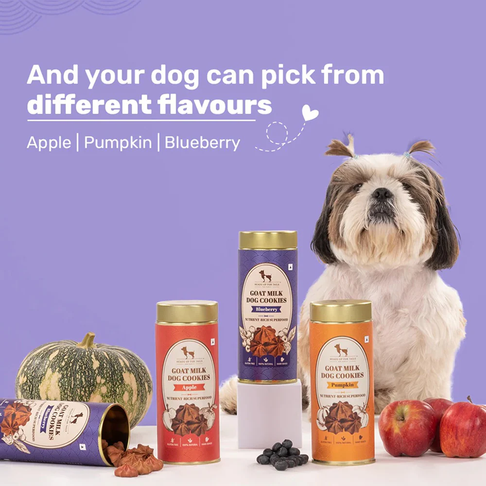 HUFT Gluten Free Goat Milk & Blueberry Cookie Dog Treats - Image 6