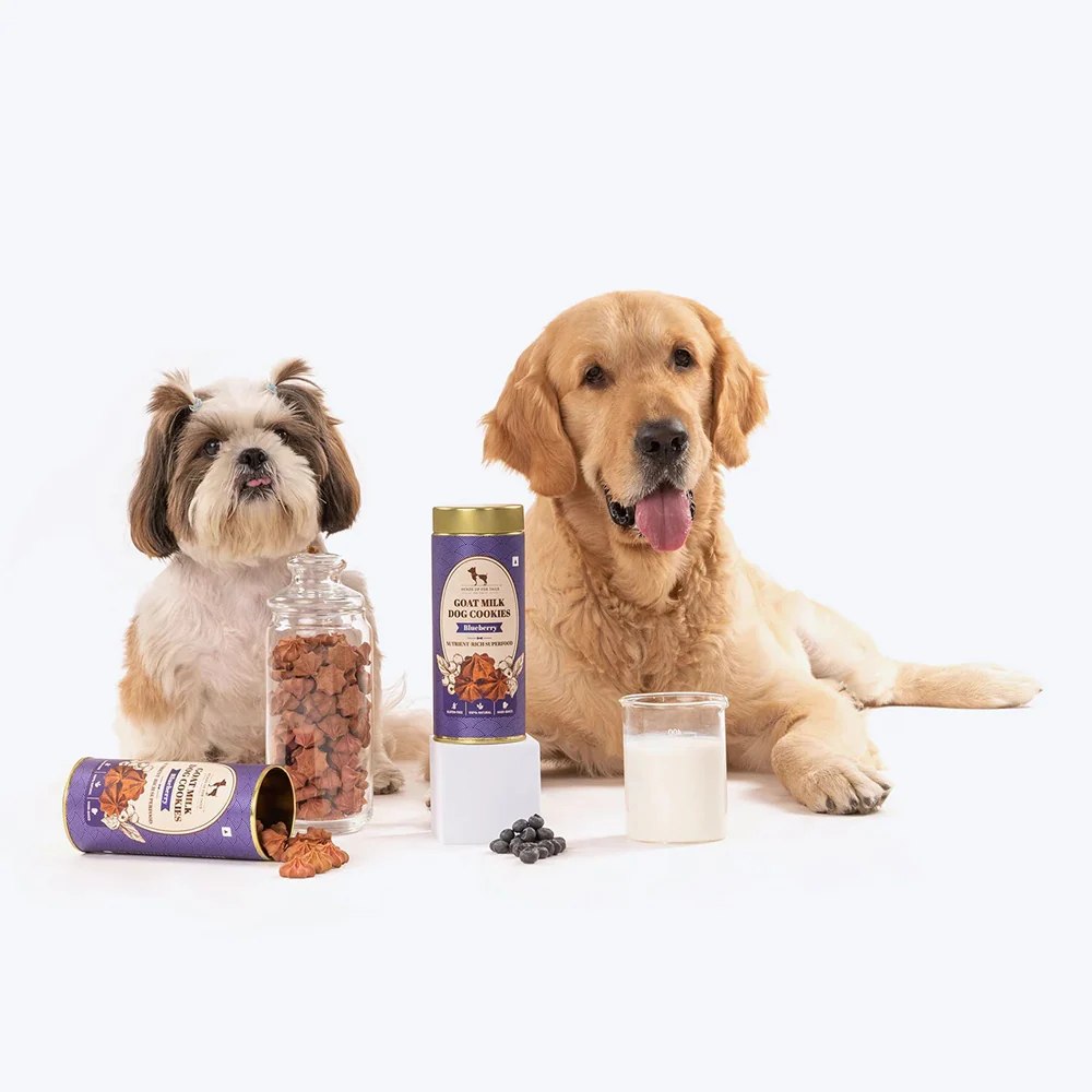 HUFT Gluten Free Goat Milk & Blueberry Cookie Dog Treats - Image 7
