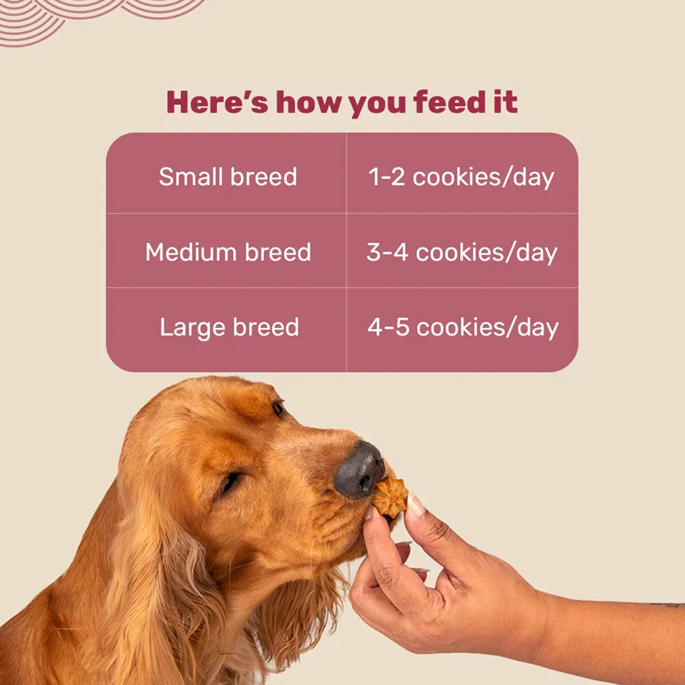 HUFT Gluten Free Goat Milk & Chicken Liver Cookie Dog Treats - Image 5