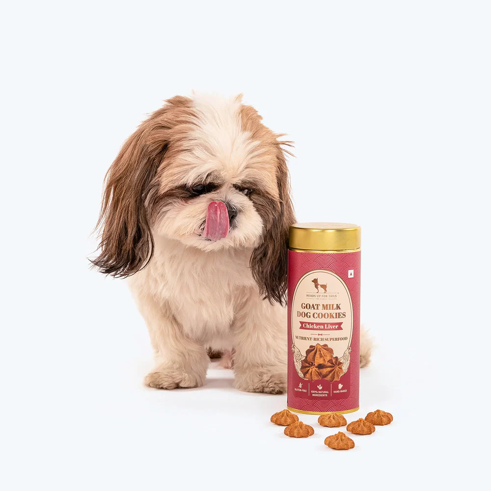 HUFT Gluten Free Goat Milk & Chicken Liver Cookie Dog Treats - Image 8