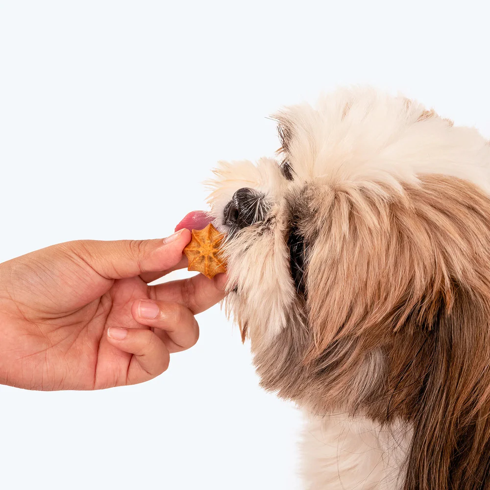 HUFT Gluten Free Goat Milk & Chicken Liver Cookie Dog Treats - Image 9