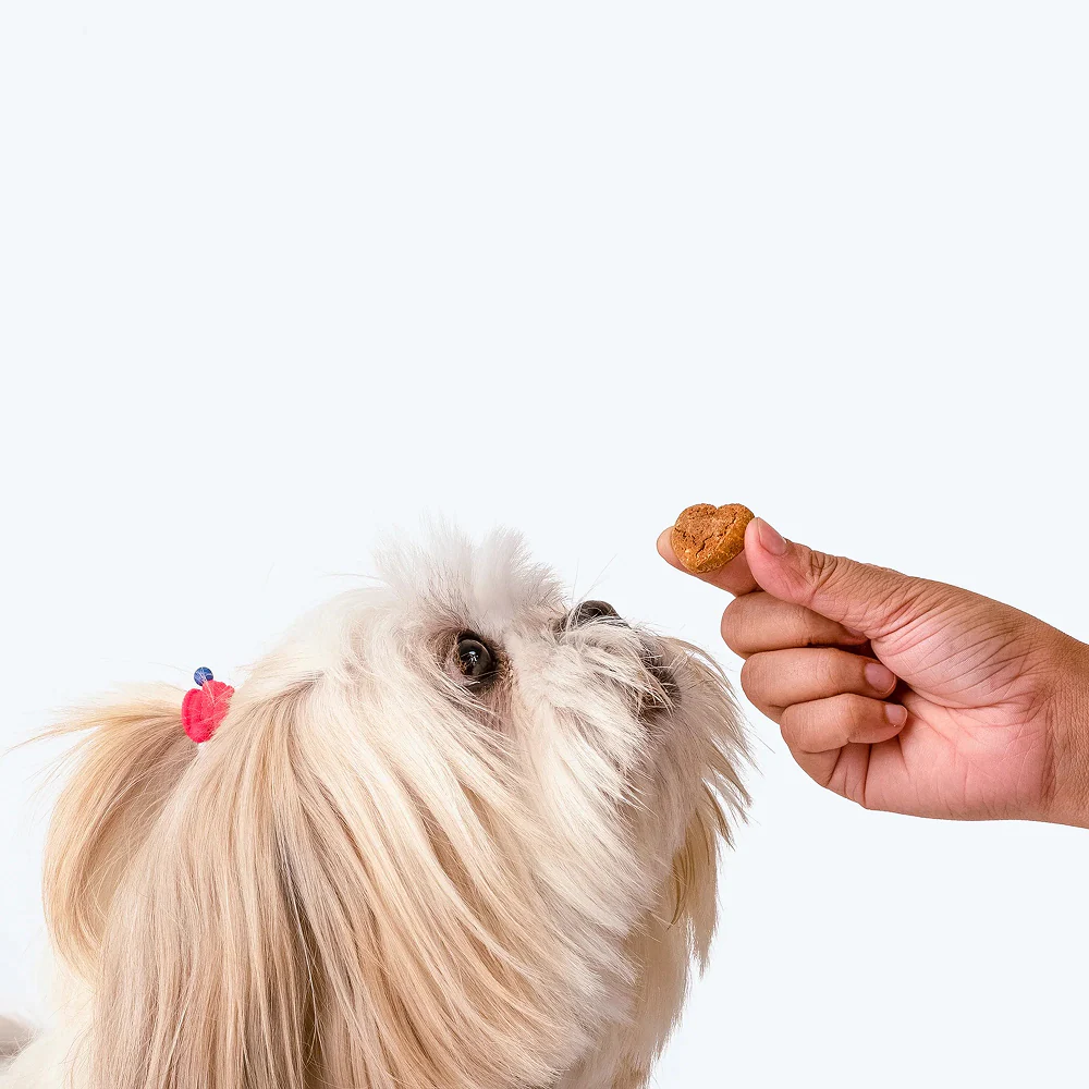 HUFT Gluten Free Nutri Chicken Liver Recipe Digestive Healthy Dog Treats - Image 8