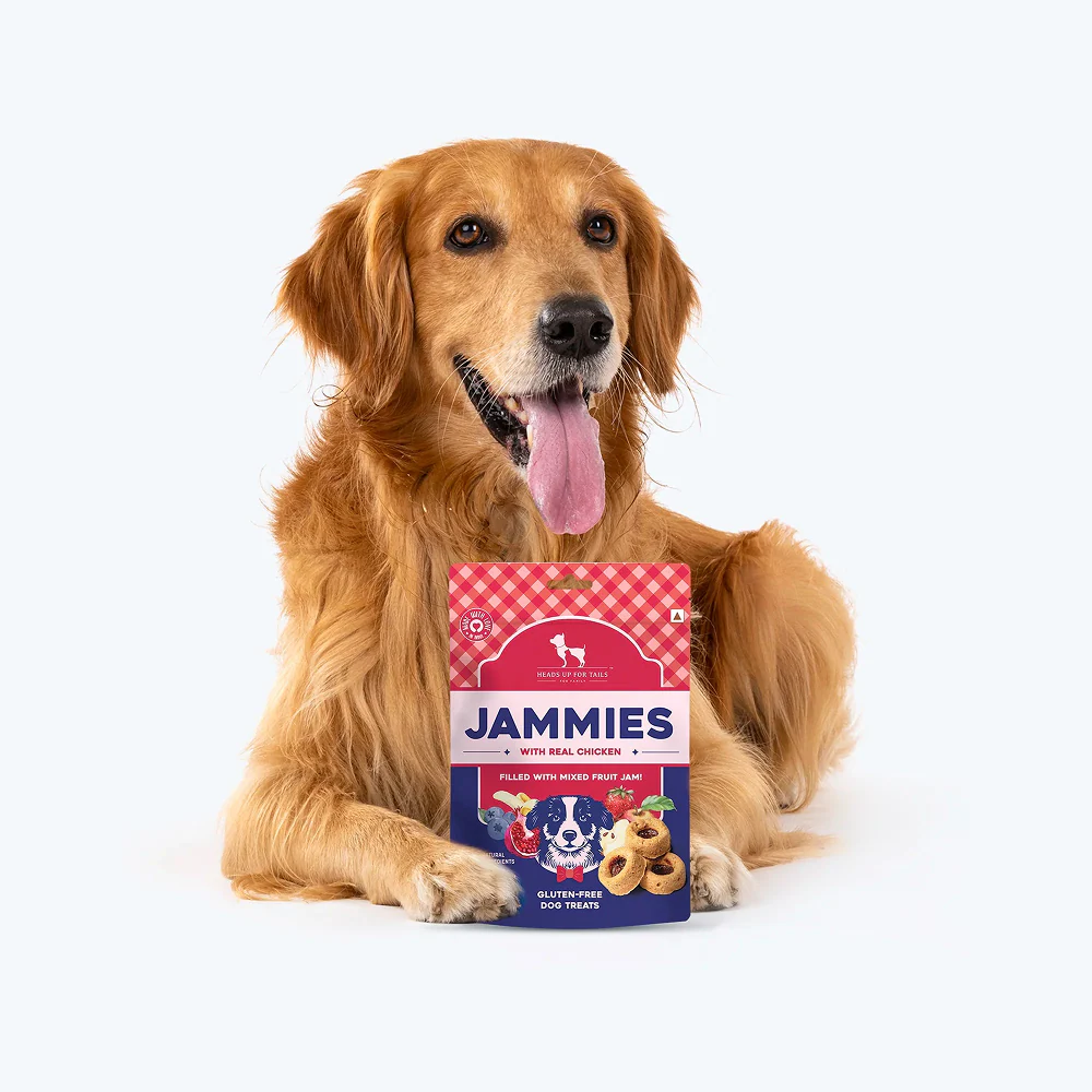HUFT Jammies With Real Chicken Filled with Mixed Fruit Jam Dog Treats - Image 6