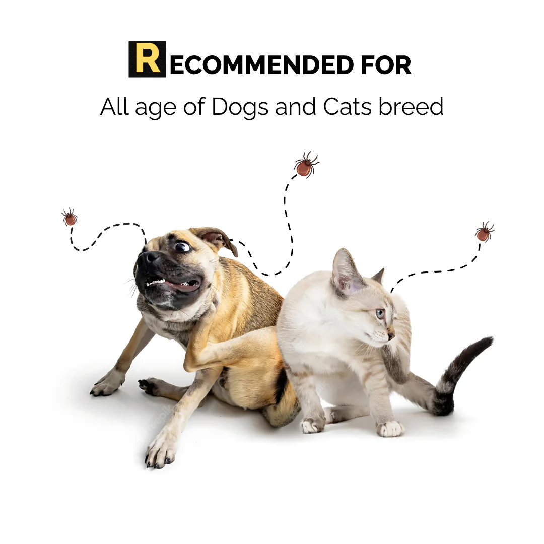 Moe Puppy Natural Lemongrass & Aloe Vera Anti Tick Spray for Dogs & Cats - Image 4