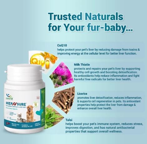 Natural Remedies Hep N sure Tablets for Dogs and Cats - Image 4