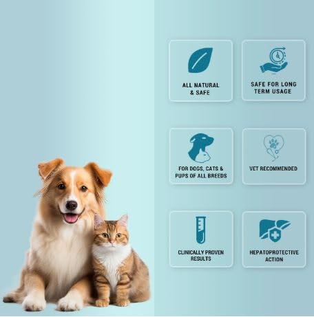 Natural Remedies Hep N sure Tablets for Dogs and Cats - Image 5
