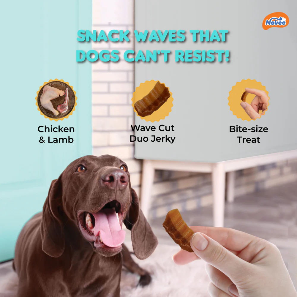 Novee Wave Cut Duo Chicken and Lamb Jerky Treats for Dogs (Buy 1 Get 1 Free) - Image 3