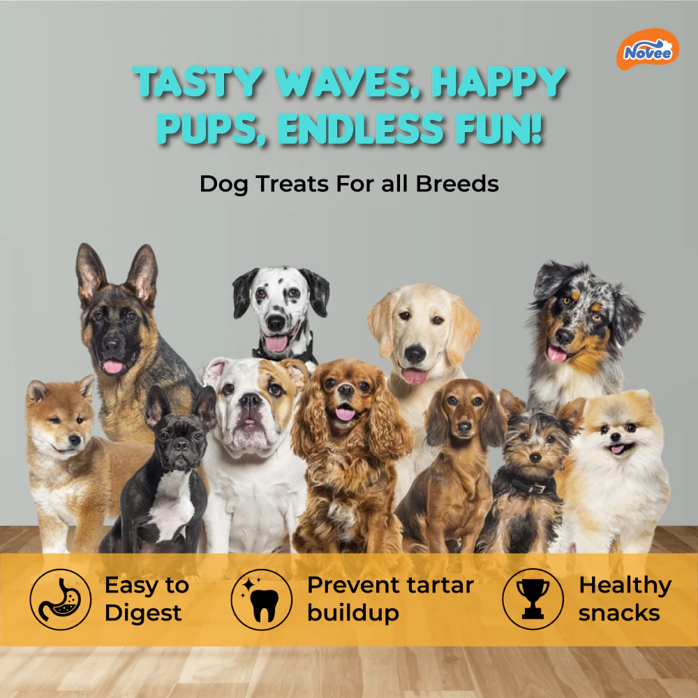 Novee Wave Cut Duo Chicken and Lamb Jerky Treats for Dogs (Buy 1 Get 1 Free) - Image 5