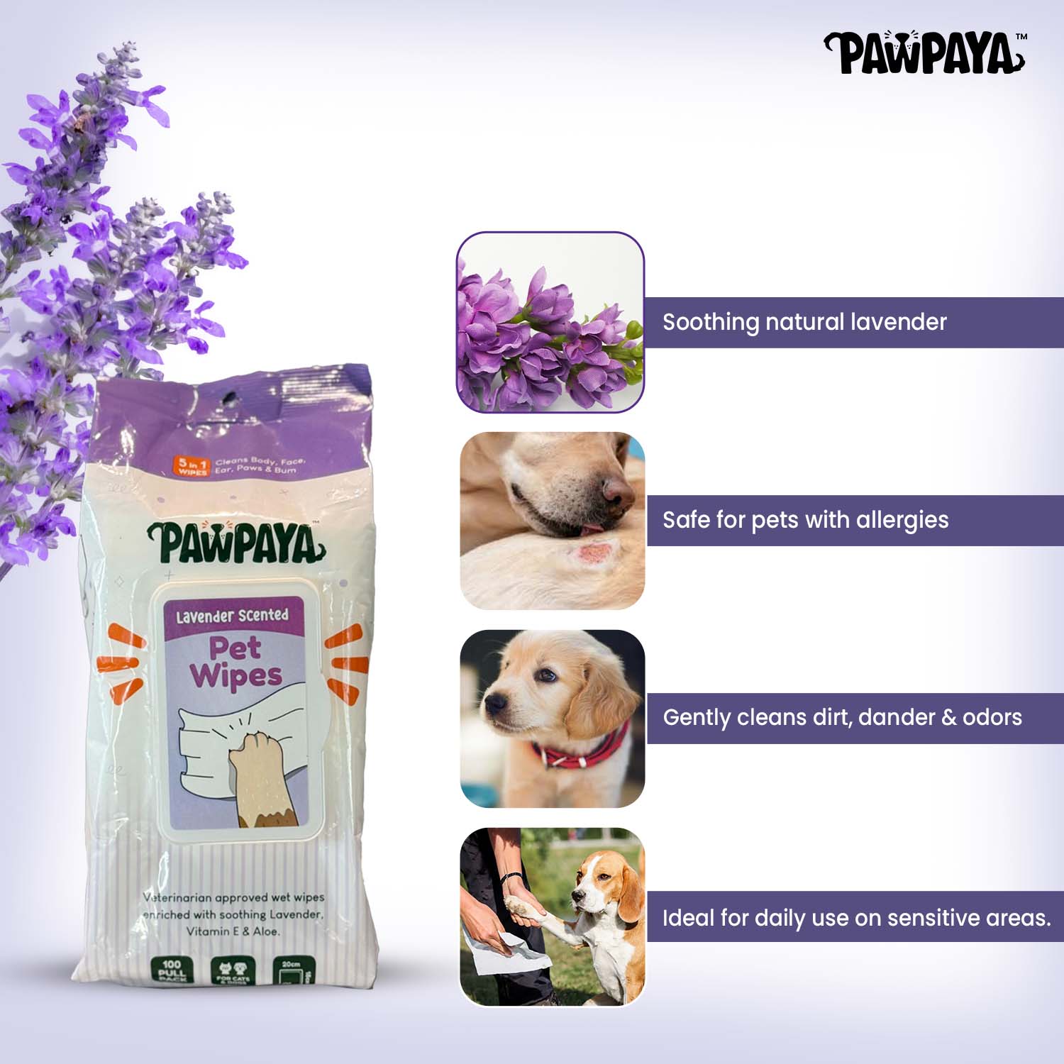 Pawpaya Lavender Scented Wipes for Dogs and Cats - Image 5