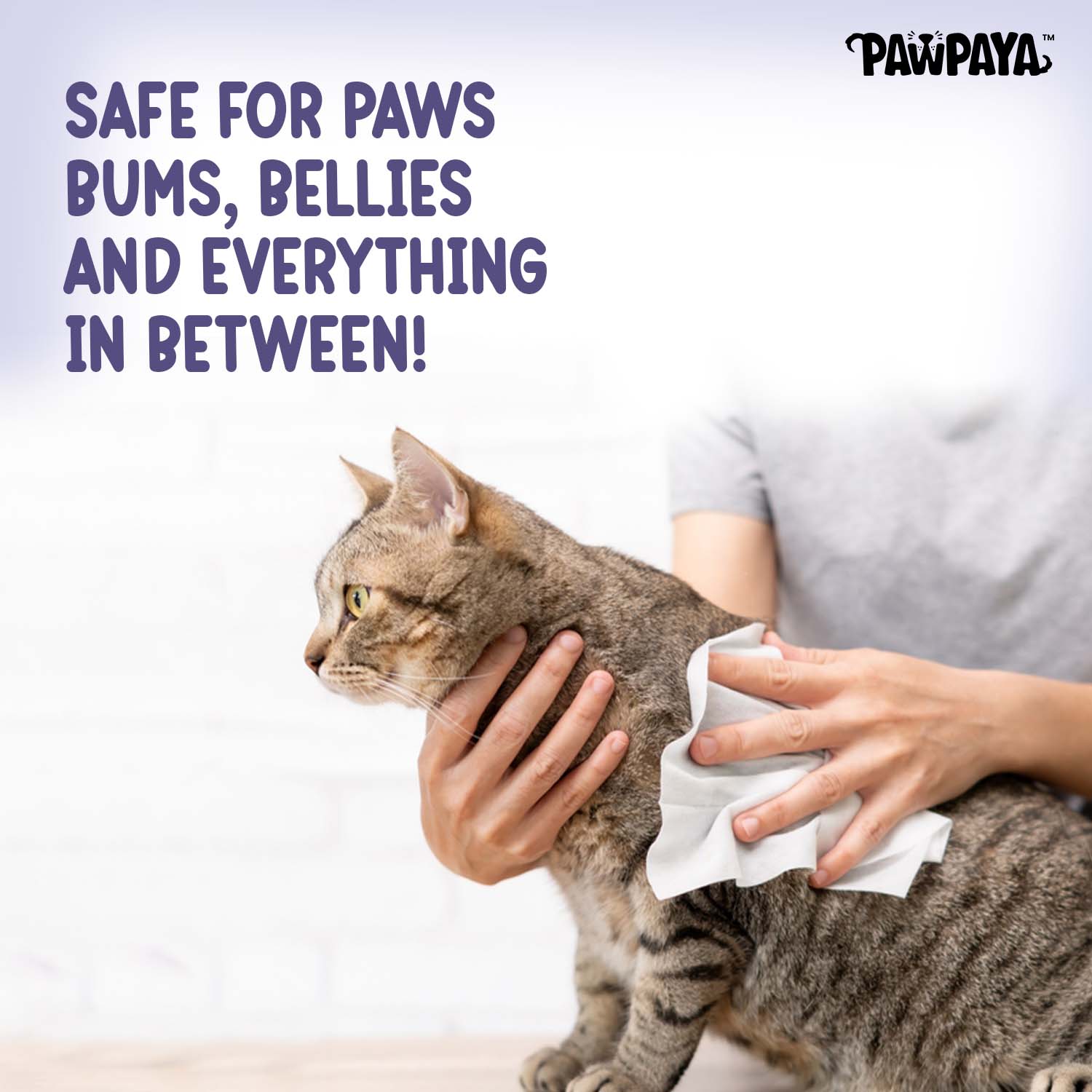 Pawpaya Lavender Scented Wipes for Dogs and Cats - Image 6
