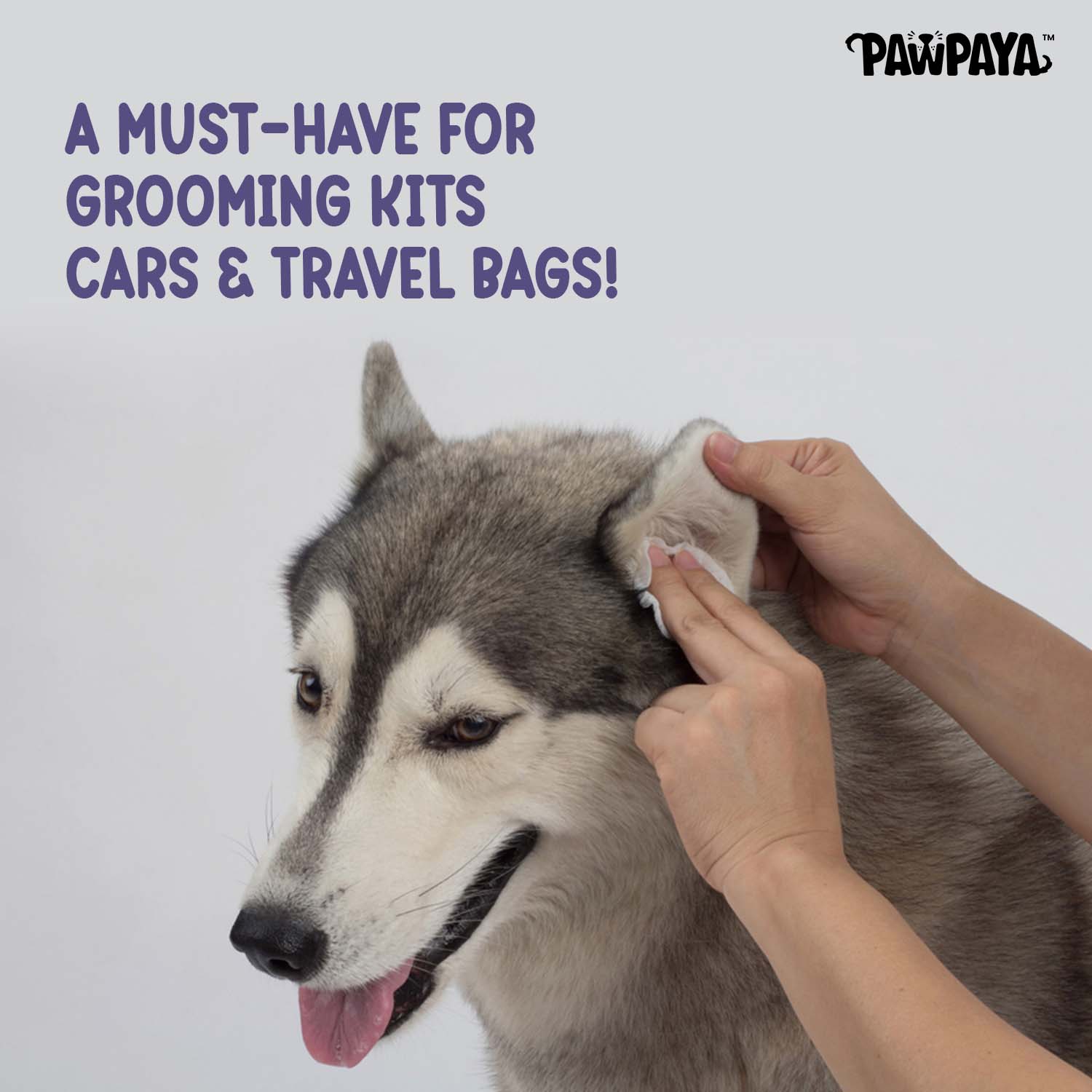 Pawpaya Lavender Scented Wipes for Dogs and Cats - Image 7